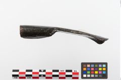 Foto von Eisendechsel (NHMW-PRAE-023817)